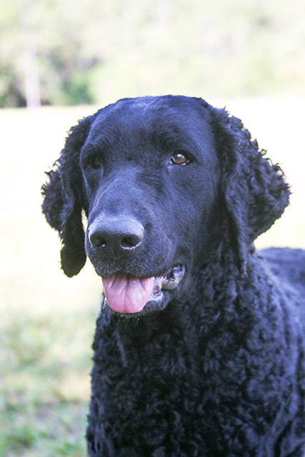 180023870_1428814847451536_8677358275671984706_n